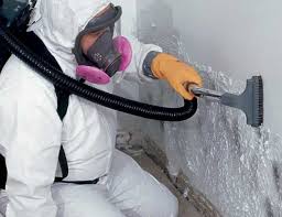 Best Residential Mold Inspection & Testing  in Bald Kno, AR